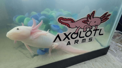 Axolotl Arms Logo Sticker